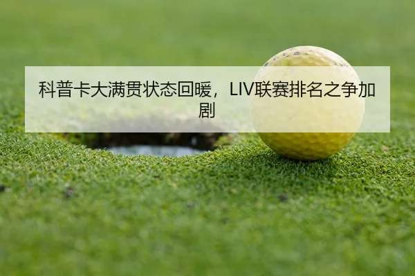 ke-pu-ka-da-man-guan-zhuang-tai-hui-nuan-lian-sai-pai-ming-zhi-zheng-jia-ju-3-610.jpg