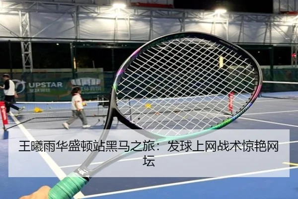 wang-xi-yu-hua-sheng-dun-zhan-hei-ma-zhi-lv-fa-qiu-shang-wang-zhan-shu-jing-yan-wang-tan-2-388.jpg