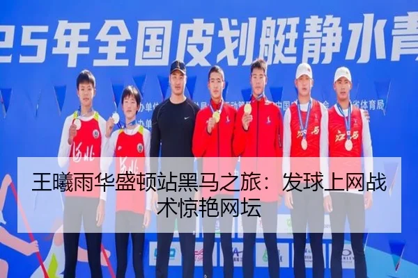 wang-xi-yu-hua-sheng-dun-zhan-hei-ma-zhi-lv-fa-qiu-shang-wang-zhan-shu-jing-yan-wang-tan-3-516.jpg